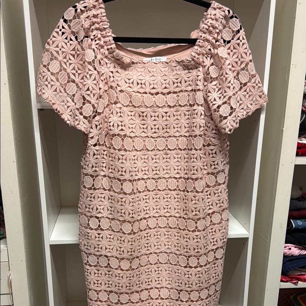 Sandra Darren Blush Lace Mini Dress
